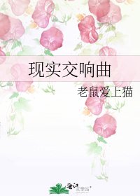 《现实交响曲》