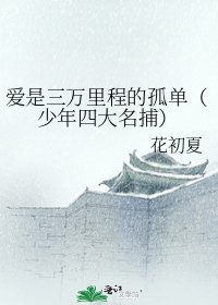 《爱是三万里程的孤单(少年四大名捕)》
