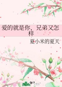 《爱的就是你,兄弟又怎样》