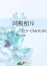 同极相斥