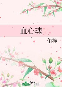 血心魂