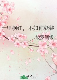《十里枫红,不如你妖娆》