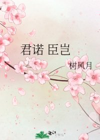 《君诺 臣岂》