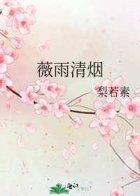 《薇雨清烟》