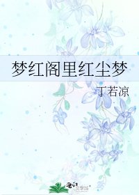 梦红阁里红尘梦