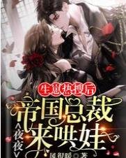 生崽热搜后，帝国总裁夜夜来哄娃