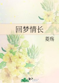 回梦情长