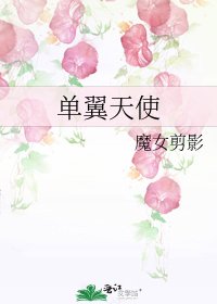 单翼天使