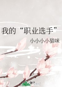 《我的“职业选手”》