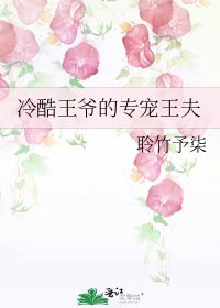 《冷酷王爷的专宠王夫》
