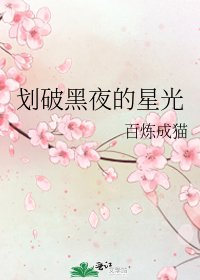 划破黑夜的星光