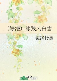 《(综漫)冰残风白雪》