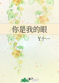 你是我的眼