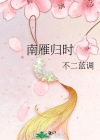 《南雁归时》