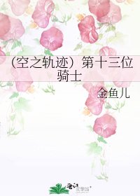 《(空之轨迹)第十三位骑士》