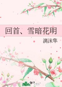 《回首、雪暗花明》