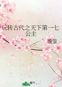 《玩转古代之天下第一七公主》