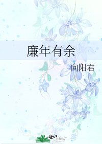 《廉年有余》
