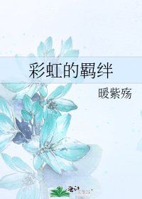 《彩虹的羁绊》