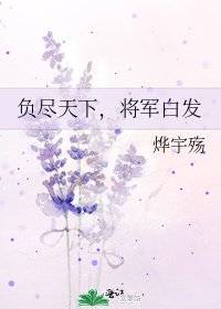 《负尽天下,将军白发》