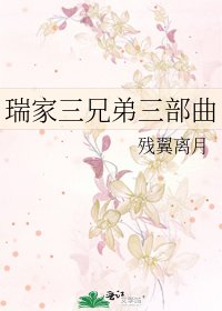 《瑞家三兄弟三部曲》