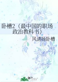 卧槽2（最中国的职场政治教科书）