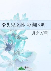 《滑头鬼之孙-彩彻区明》