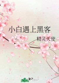 《小白遇上黑客》