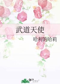 《武道天使》