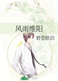 《风雨维阳》