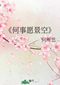 《何事愿景空》