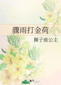 《骤雨打金荷》