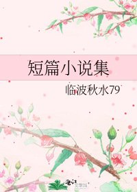 《短篇集》