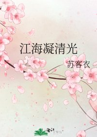 《江海凝清光》