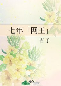 七年「网王」