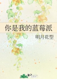 你是我的蓝莓派