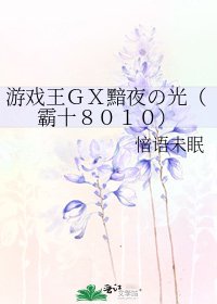 《游戏王GX黯夜の光(霸十8010)》