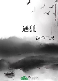 《遇狐》
