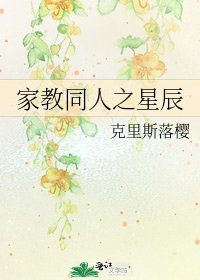 家教同人之星辰
