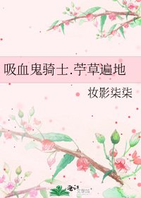 《吸血鬼骑士.苧草遍地》
