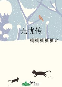 《无忧传》