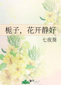 栀子，花开静好