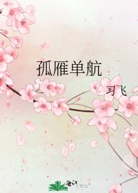 《孤雁单航》