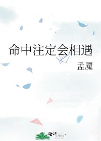 命中注定会相遇