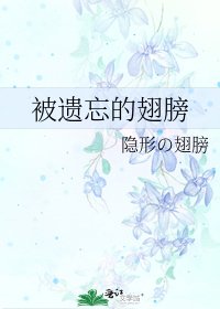 《被遗忘的翅膀》