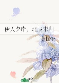 《伊人夕岸,北辰未归》