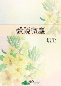 《毅鏡微塵》