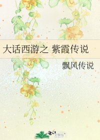 《大话西游之 紫霞传说》