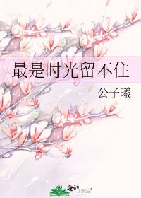 《最是时光留不住》