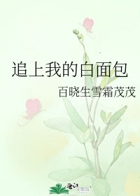 追上我的白面包
